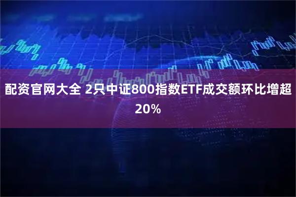 配资官网大全 2只中证800指数ETF成交额环比增超20%