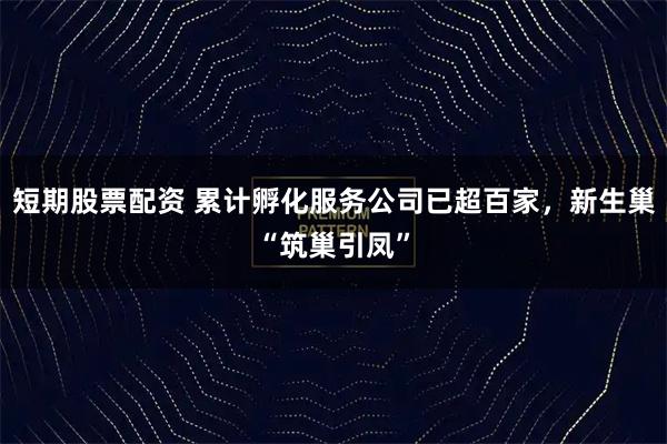 短期股票配资 累计孵化服务公司已超百家，新生巢“筑巢引凤”
